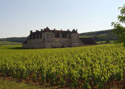 clos de vougeot