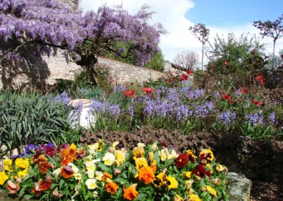 jardin fleurs