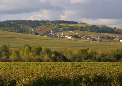 panorama volnay